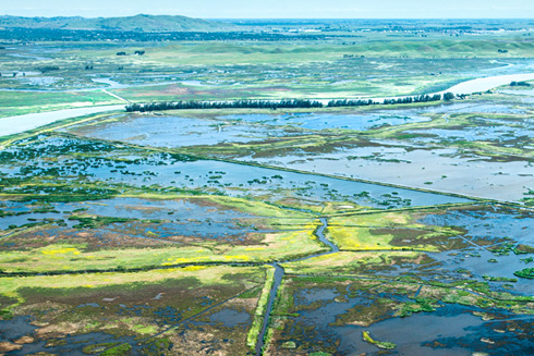 Flooded Suisun Marsh showing canal edges and high borders.